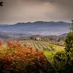 I Trebbiali Reggello